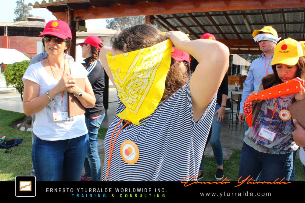 Team Building Talleres de Trabajo en Equipo